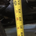 IMG_3590.jpg